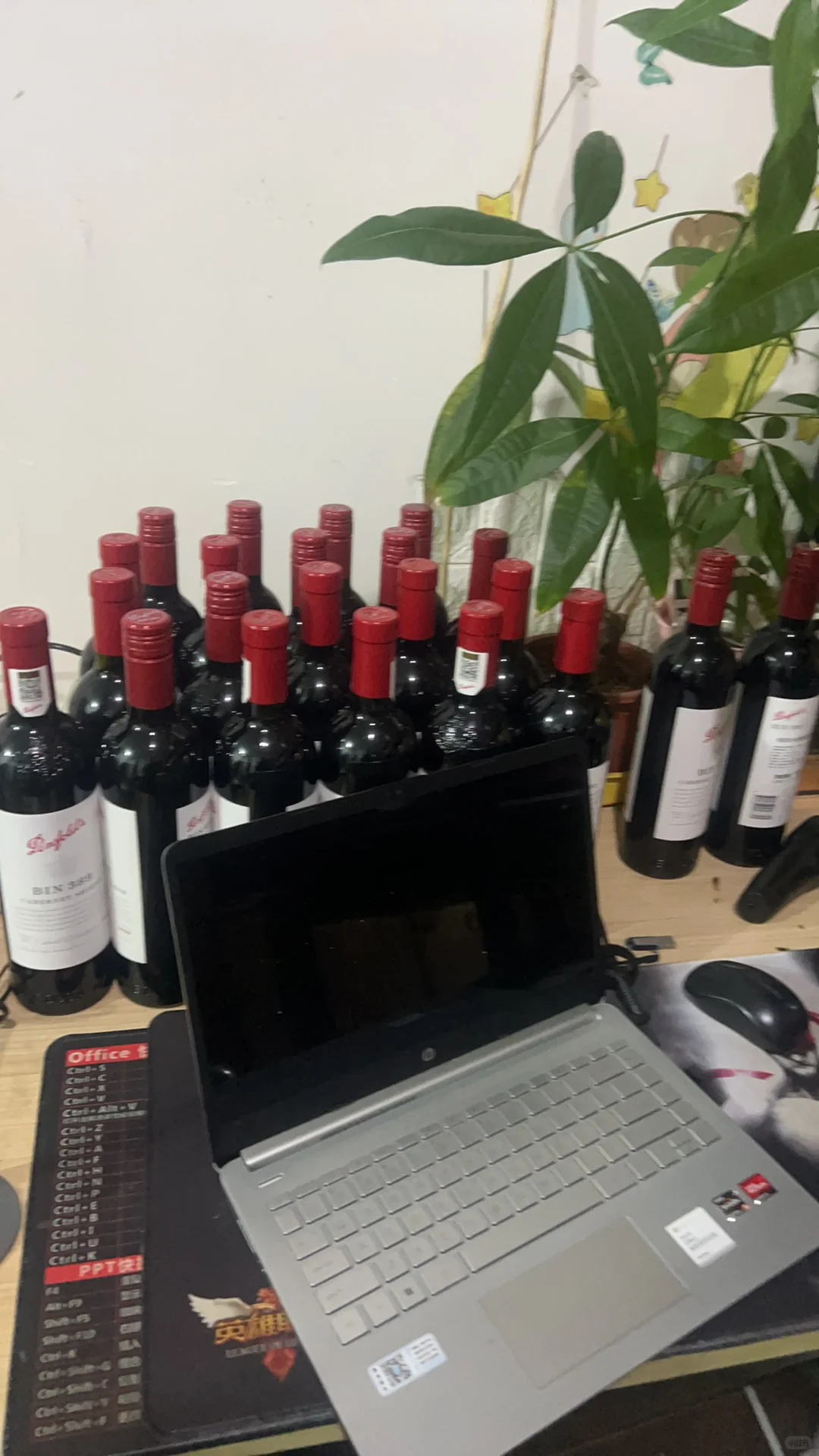 五粮液茅台剑南春洋河古井贡四特酒郎酒洋酒