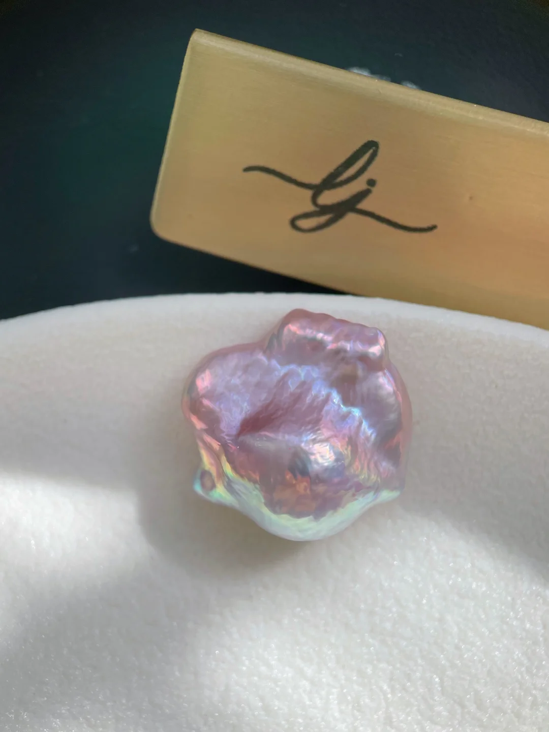 霸王花?｜Le jardin