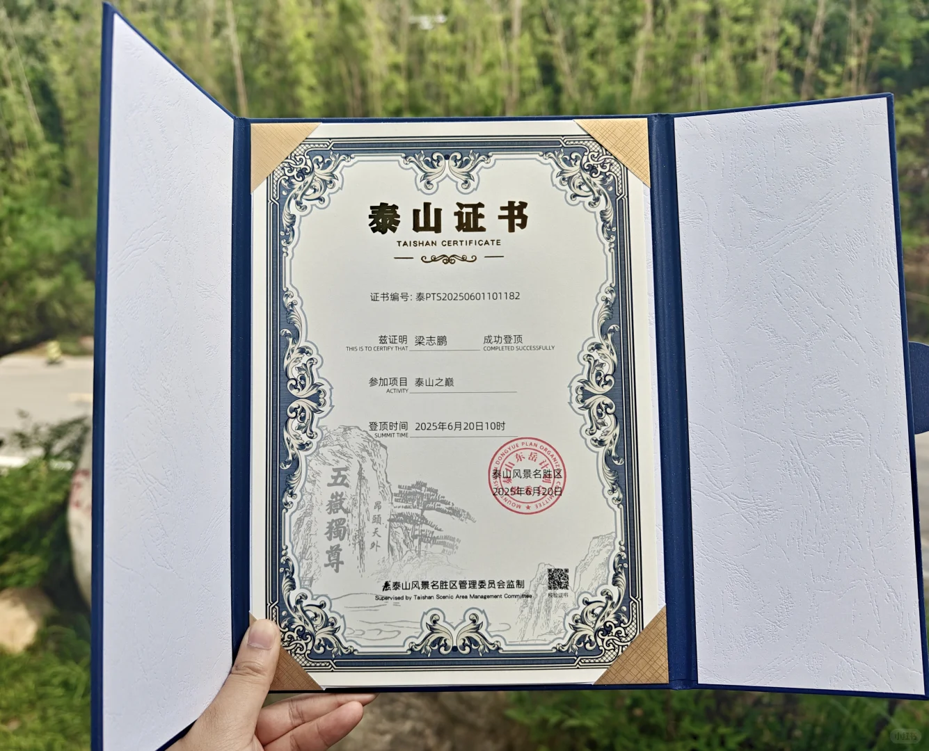 品泰山⛰️