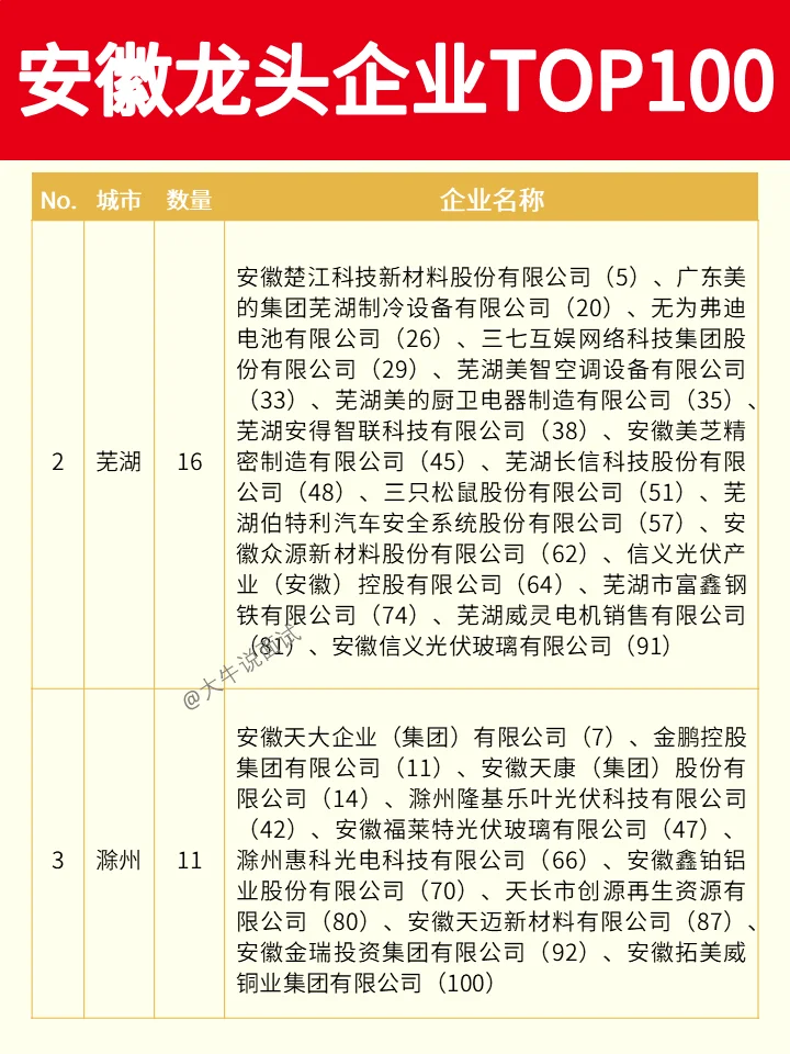 安徽龙头企业TOP100❗