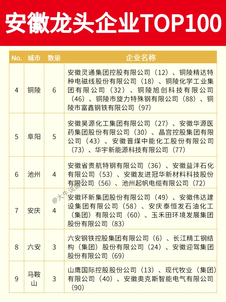 安徽龙头企业TOP100❗