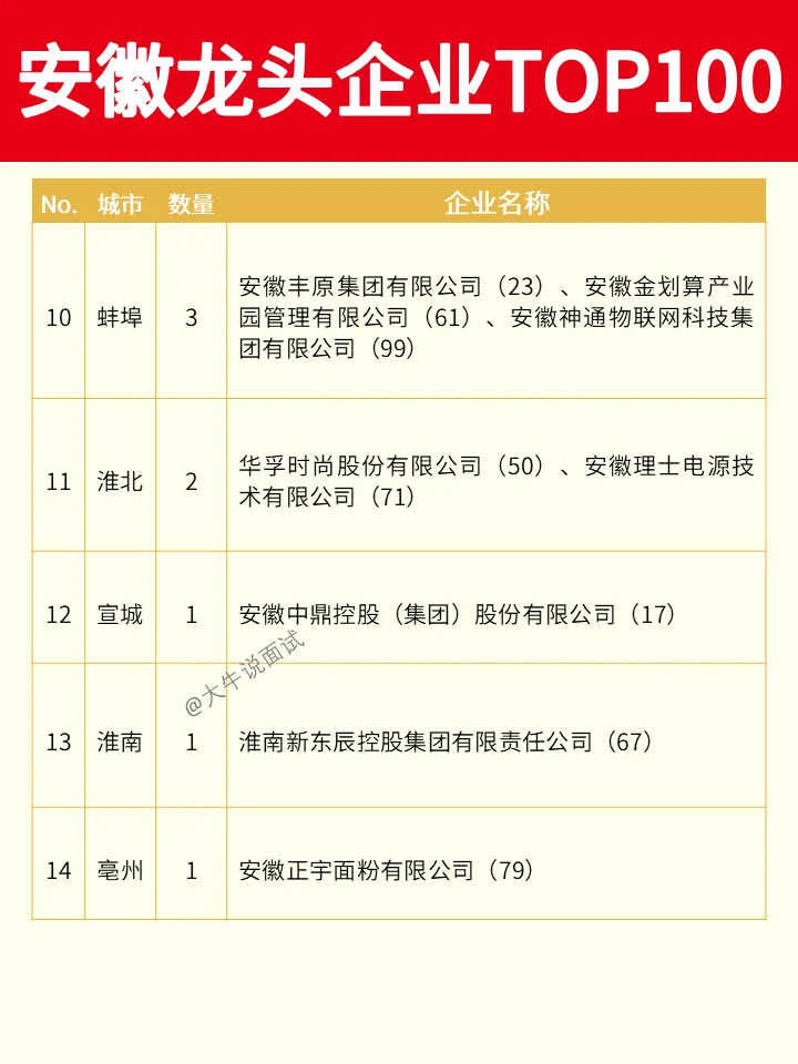 安徽龙头企业TOP100❗