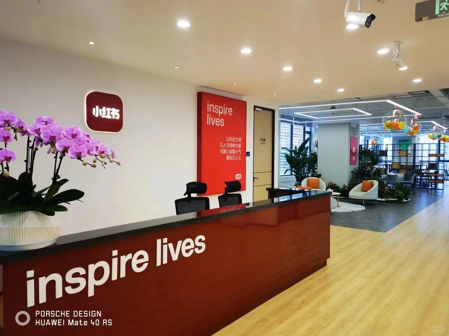 终于来了！传统滋补行业官方来免费扶持啦?