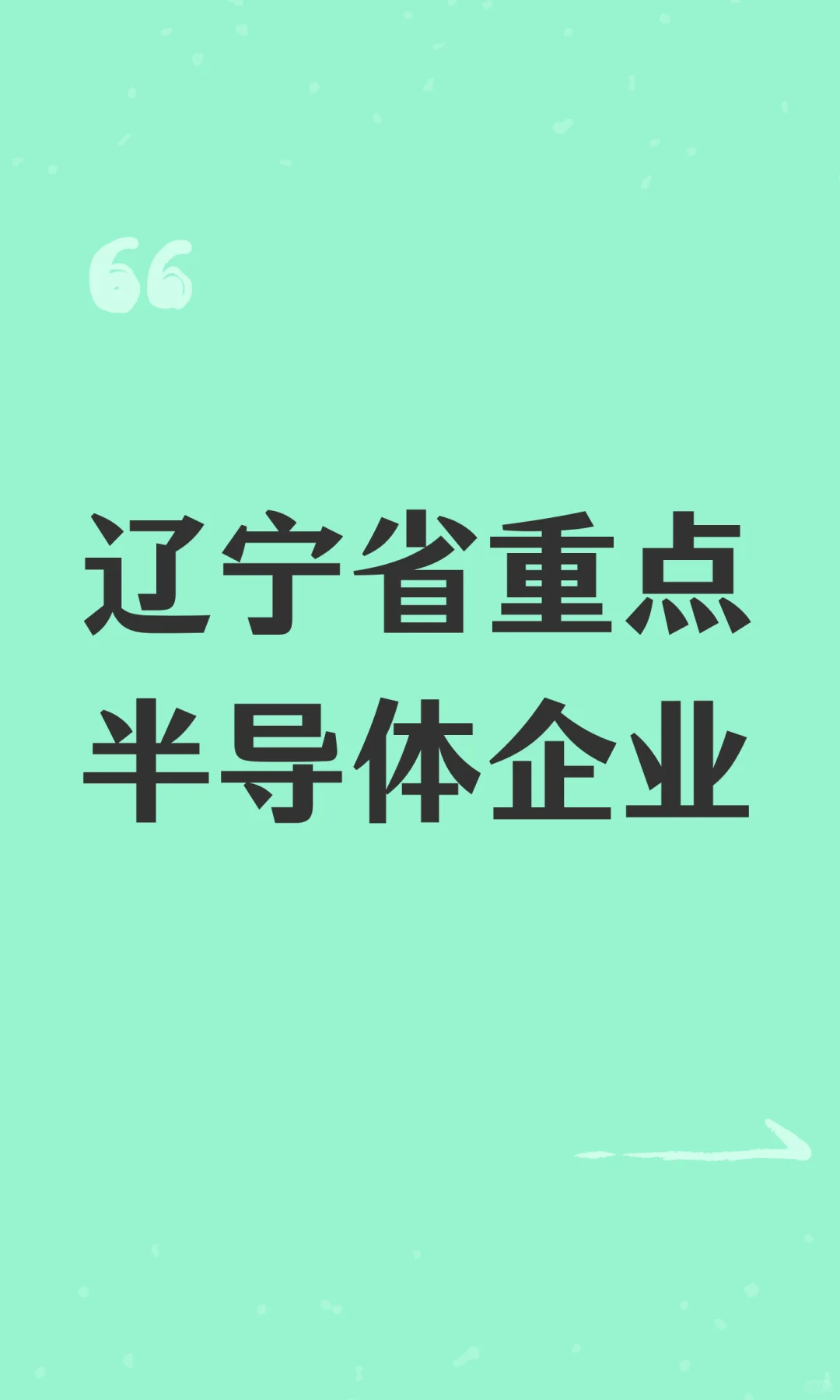 辽宁省重点半导体企业