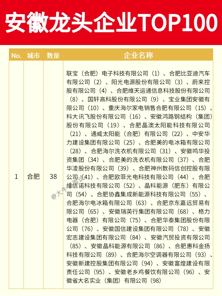 安徽龙头企业TOP100❗