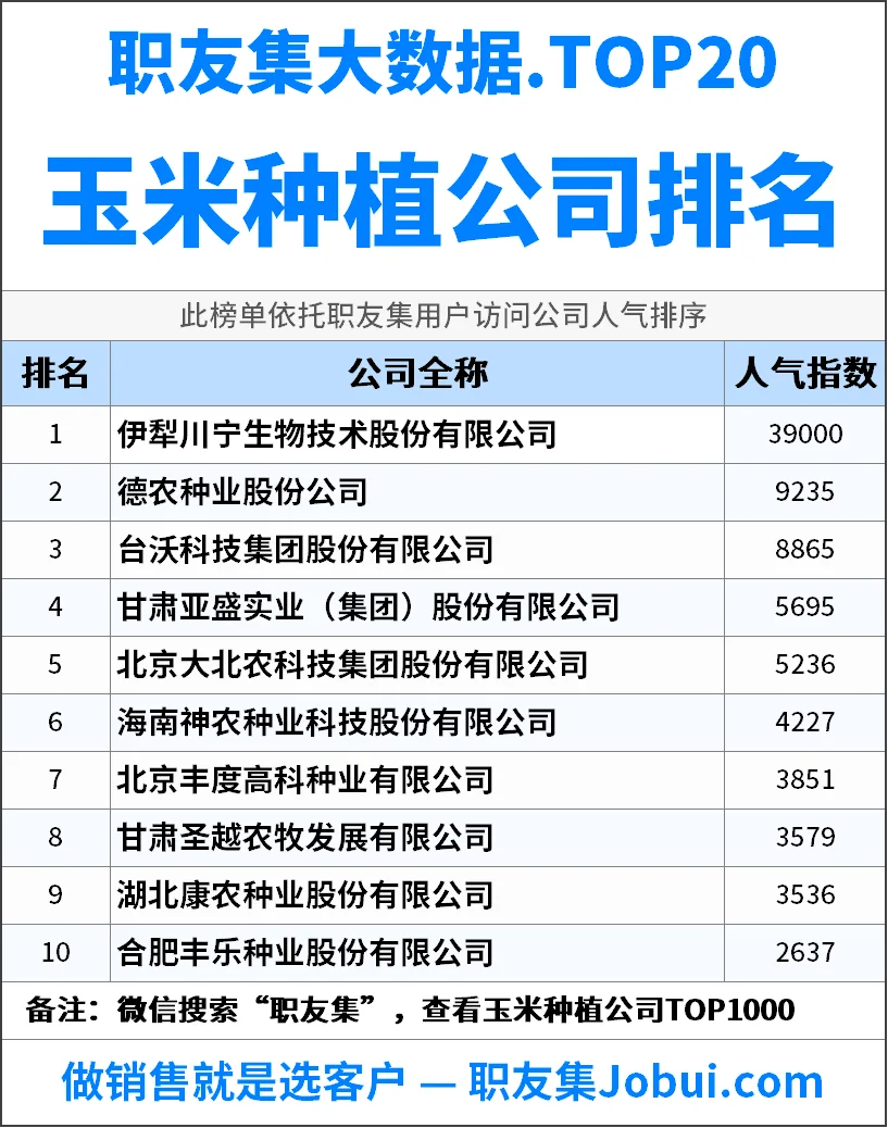 2025年中国玉米种植公司排行榜