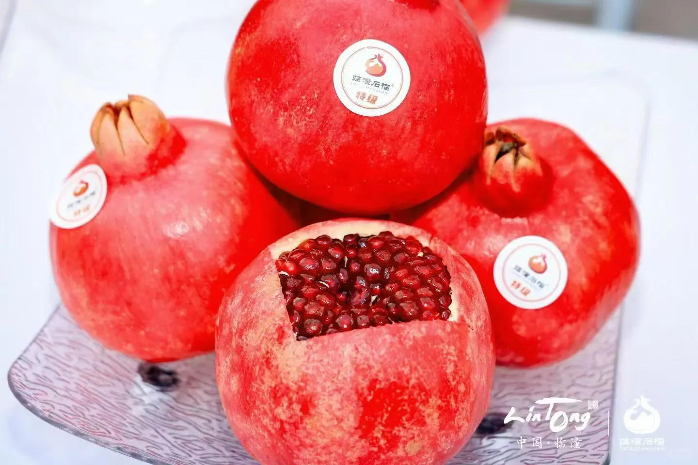 西安活动拍摄丨石榴推介会