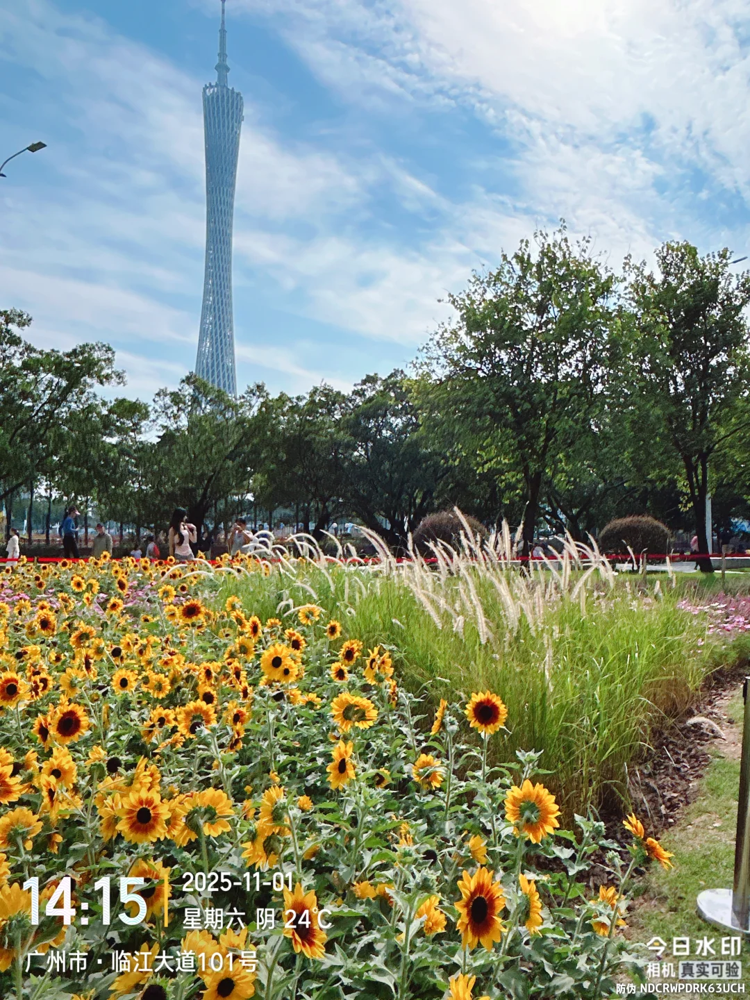 错过等一年第32届广州园博会秋季场美到窒息