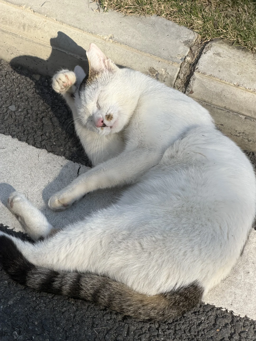 面试复盘｜外企 采购 供应链