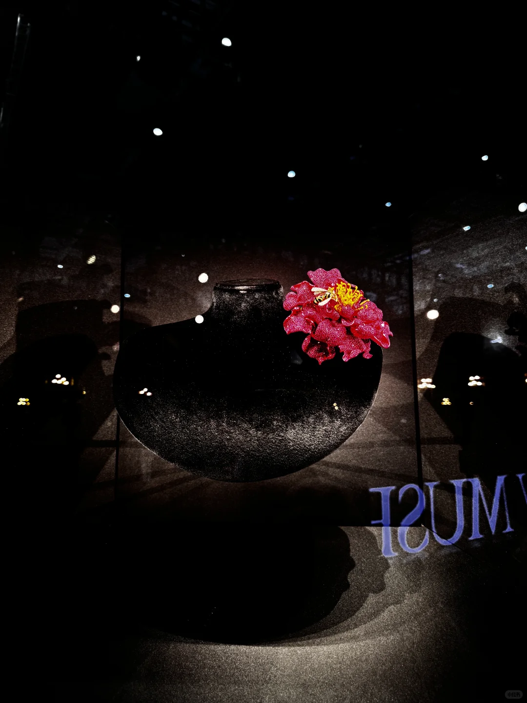 上海进博会必到打卡点，你来了吗？