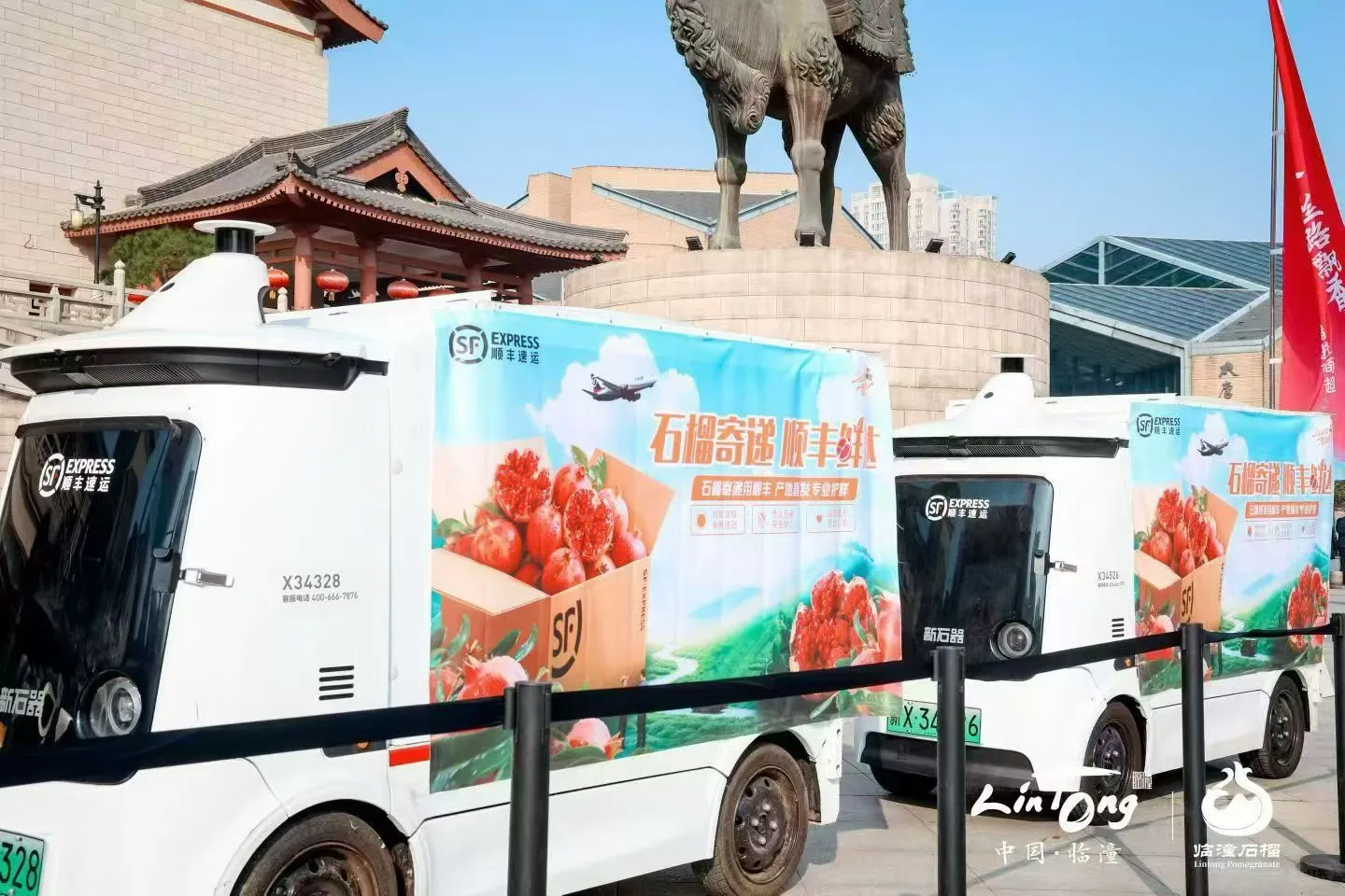 西安活动拍摄丨石榴推介会