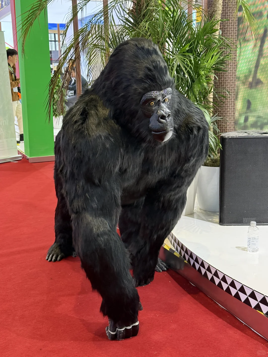 ?2025进博会一日游 | 免费吃喝+科技狂欢?