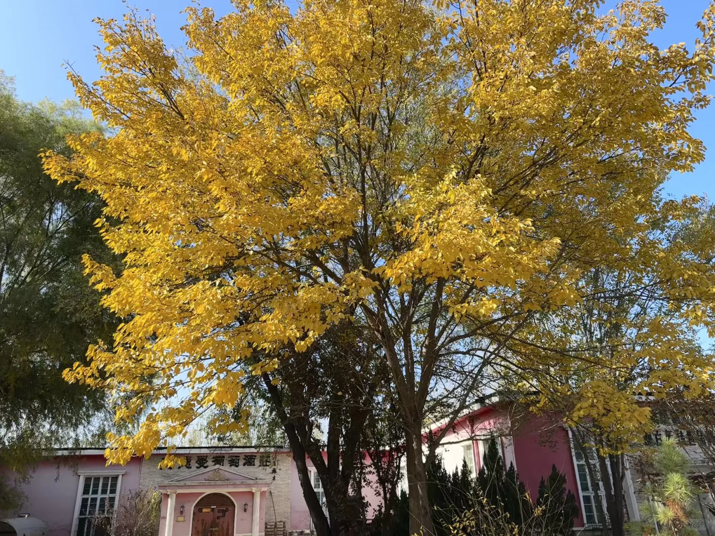 就你不不知道，研学里面有道道