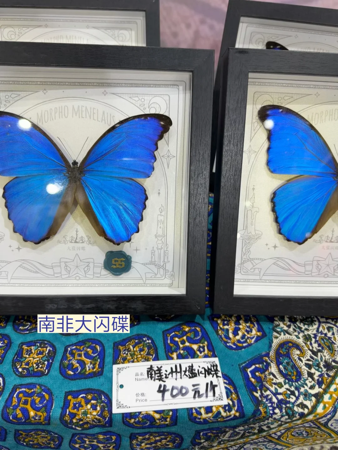 【义乌进口商品展】挖到超多宝藏！