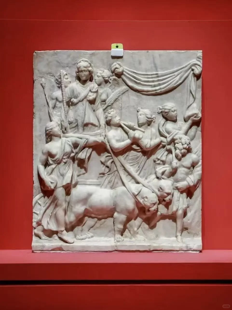 11月遛娃|上海世博会博物馆罗马罗马展