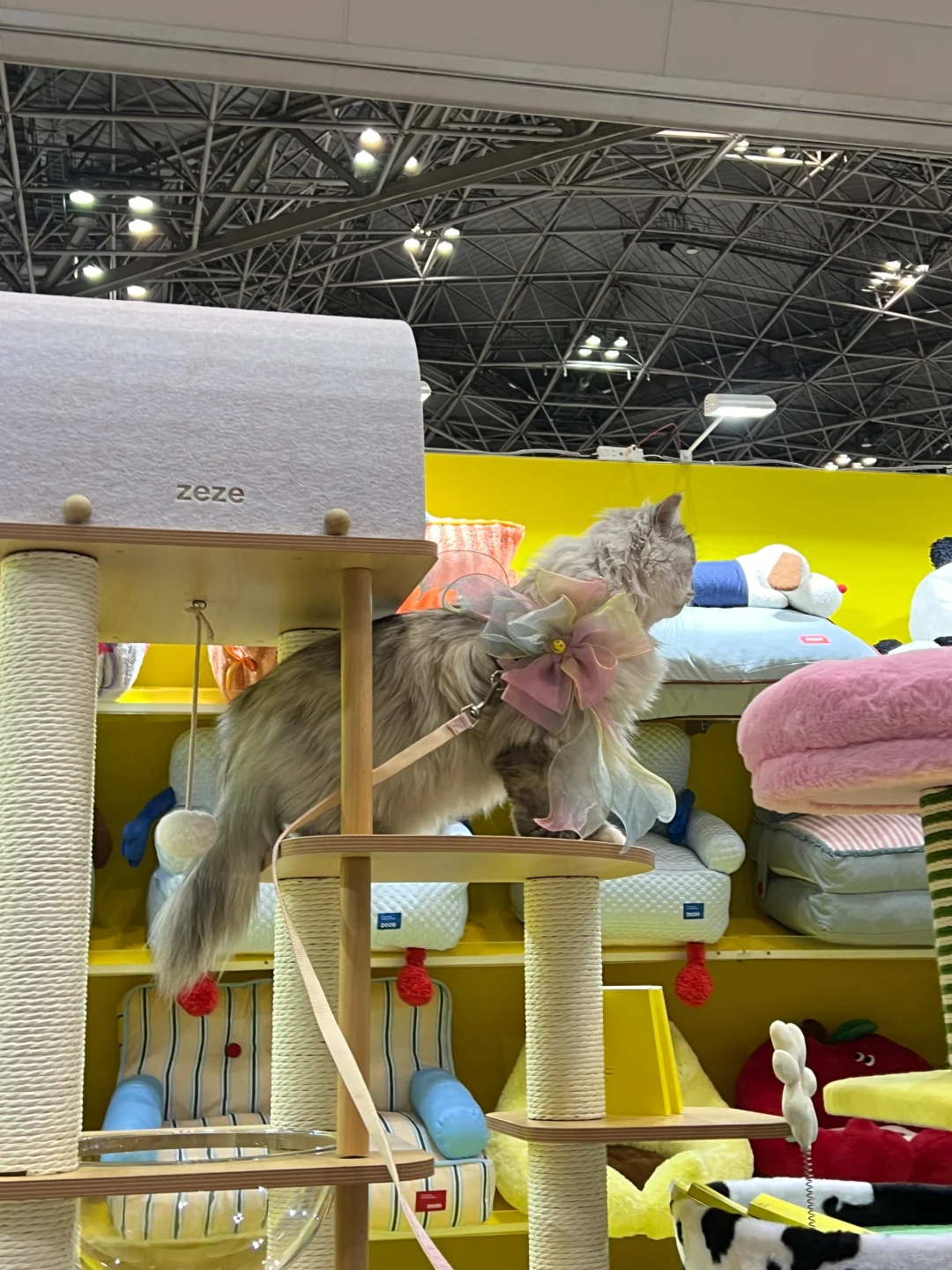 来「东京国际宠物展」和 zeze碰面吧??