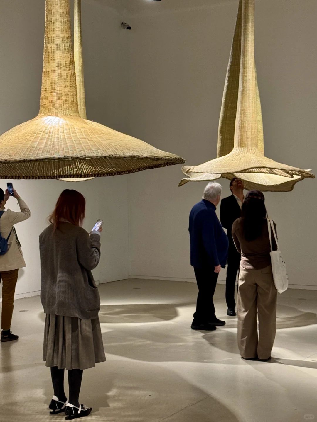 年度必看展｜上海双年展?花儿听到蜜蜂了吗