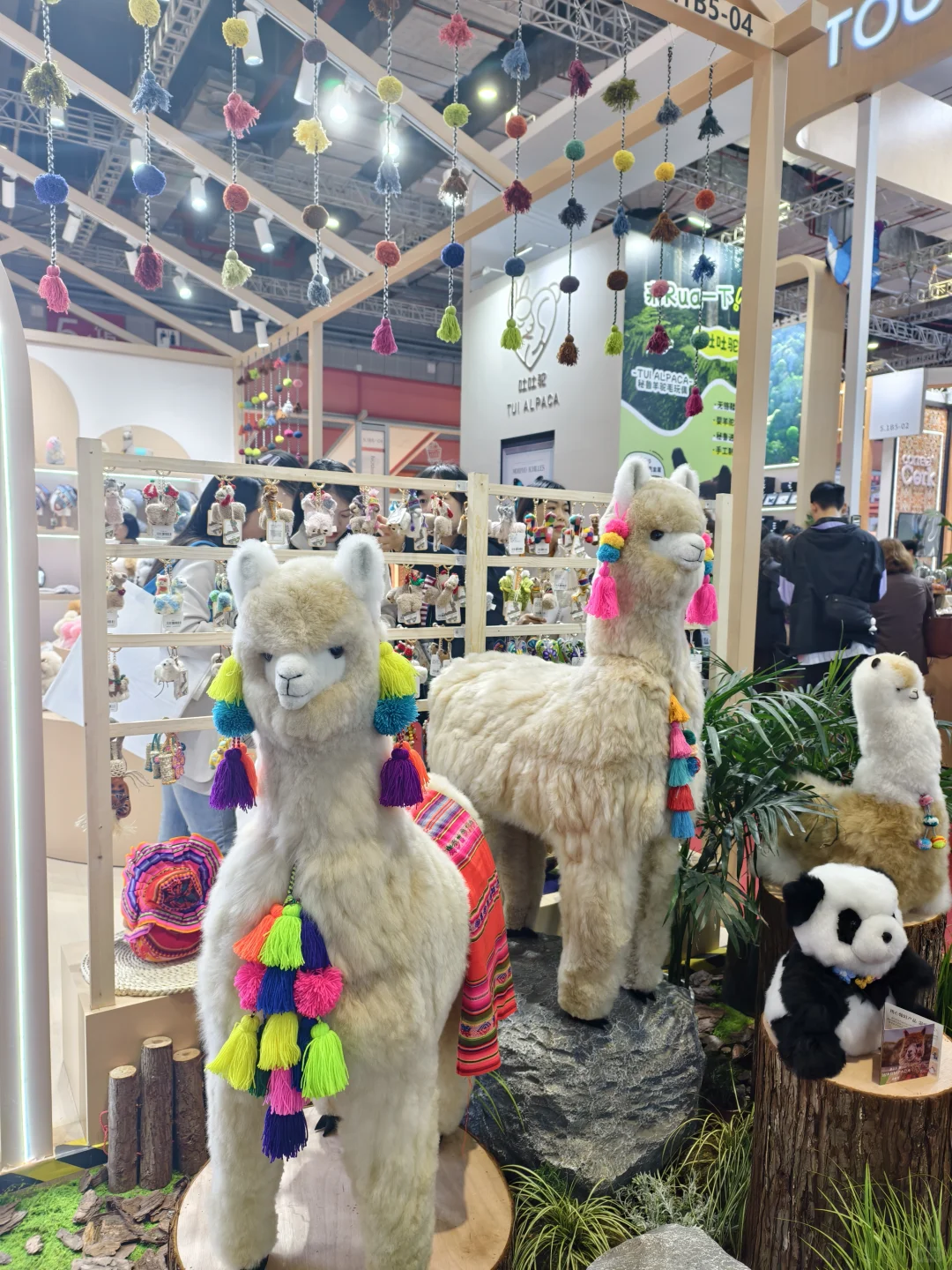 降温的一天，整理一些进博会的记忆碎片