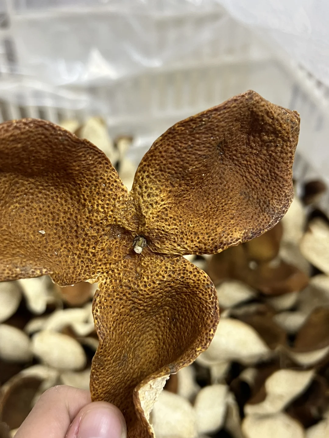 今年公司采购 你们会采购什么呢？？？