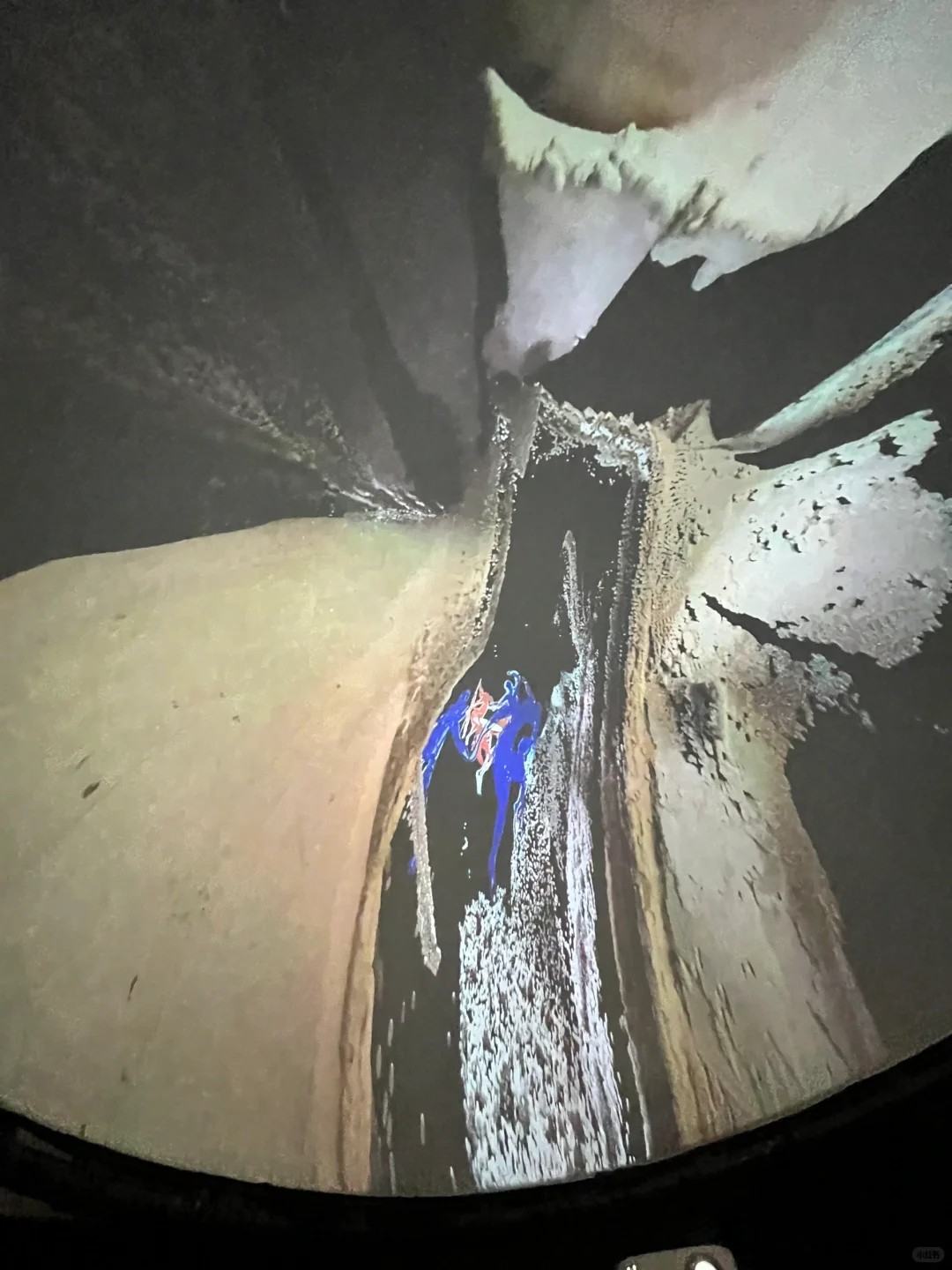 央美毕业设计展之【躺平系列】