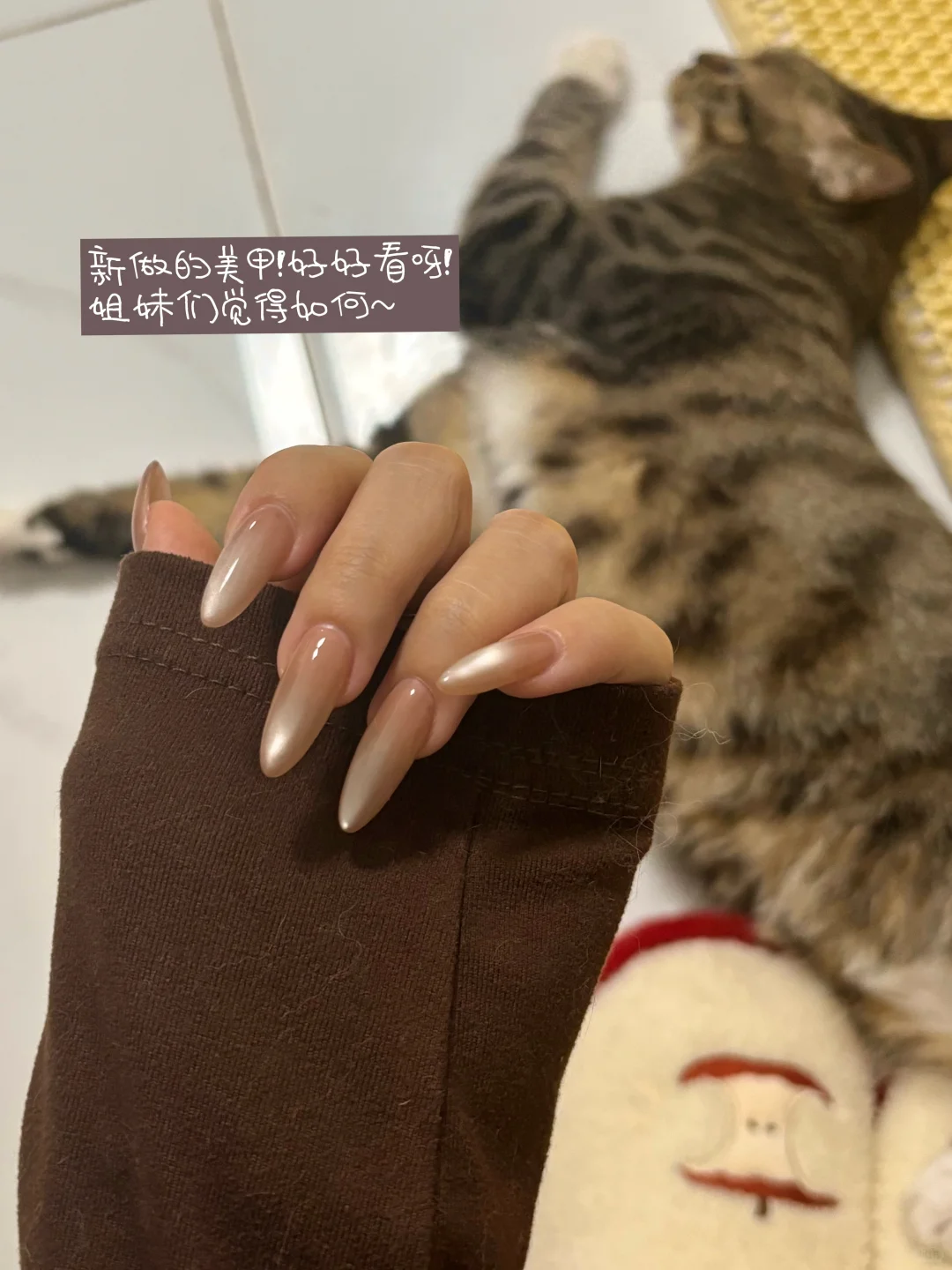 没花一分钱展位费,我拿到了200+广交会名单