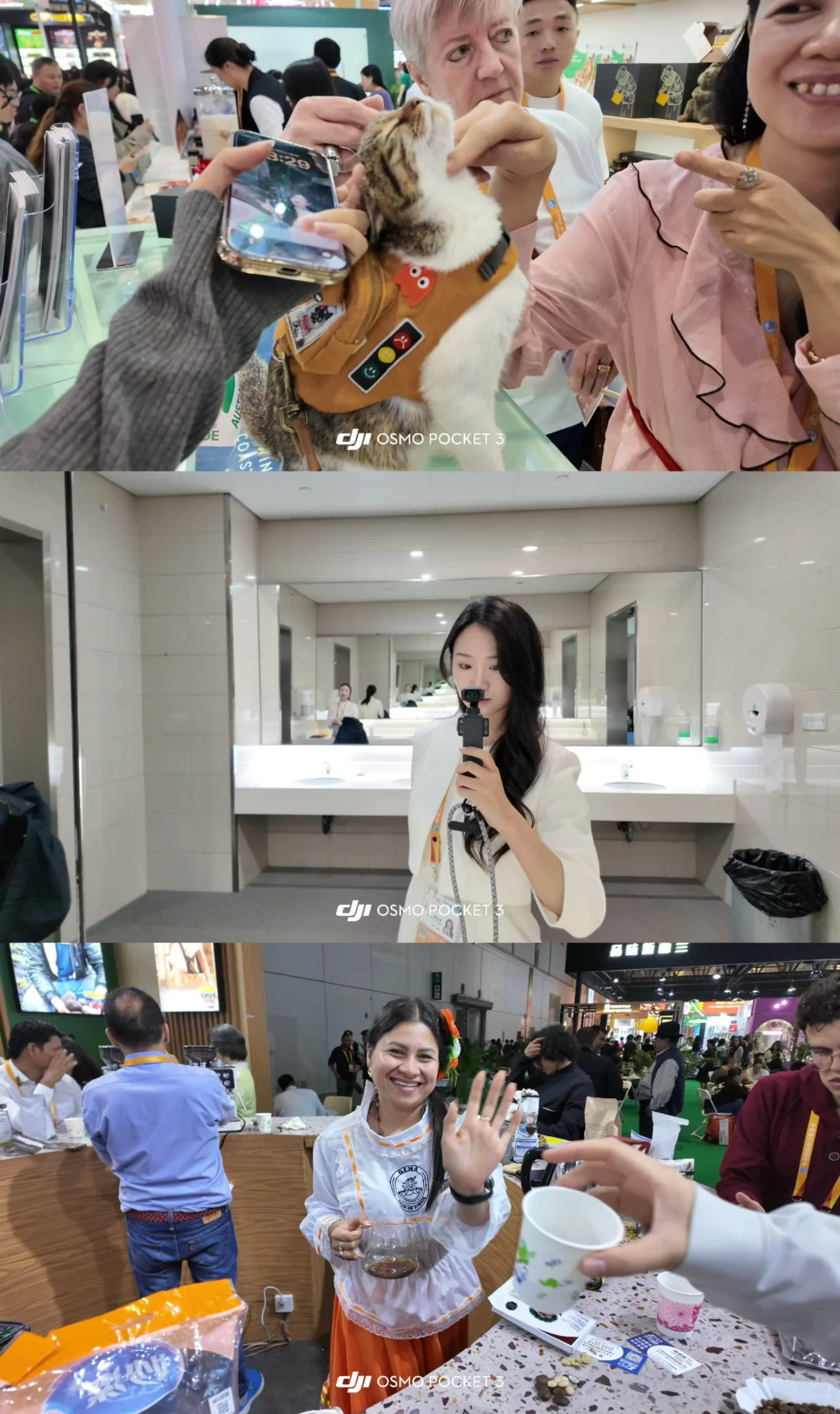 上海进博会圆满收官啦