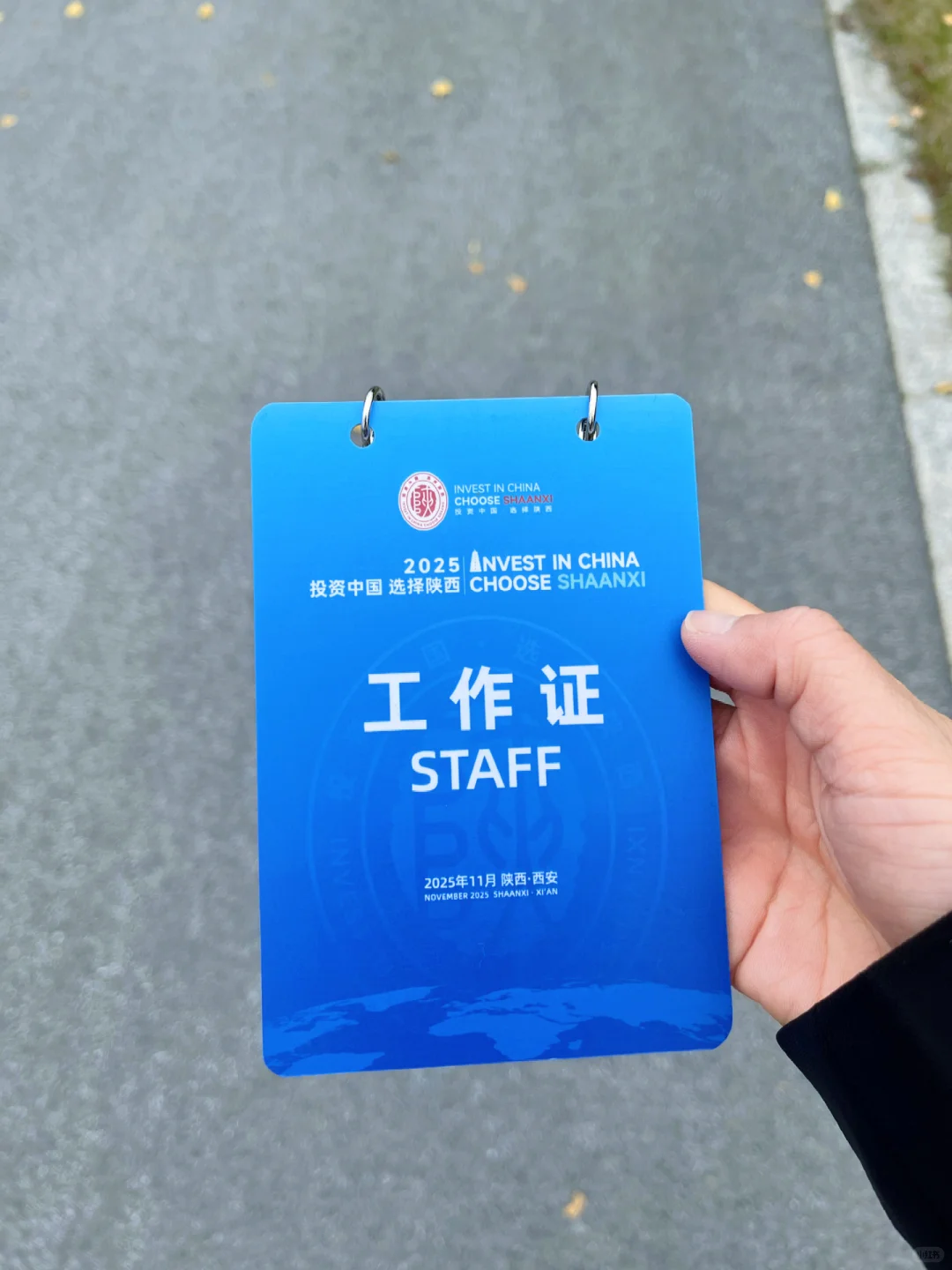 2025中国（陕西）-跨国公司产业合作大会