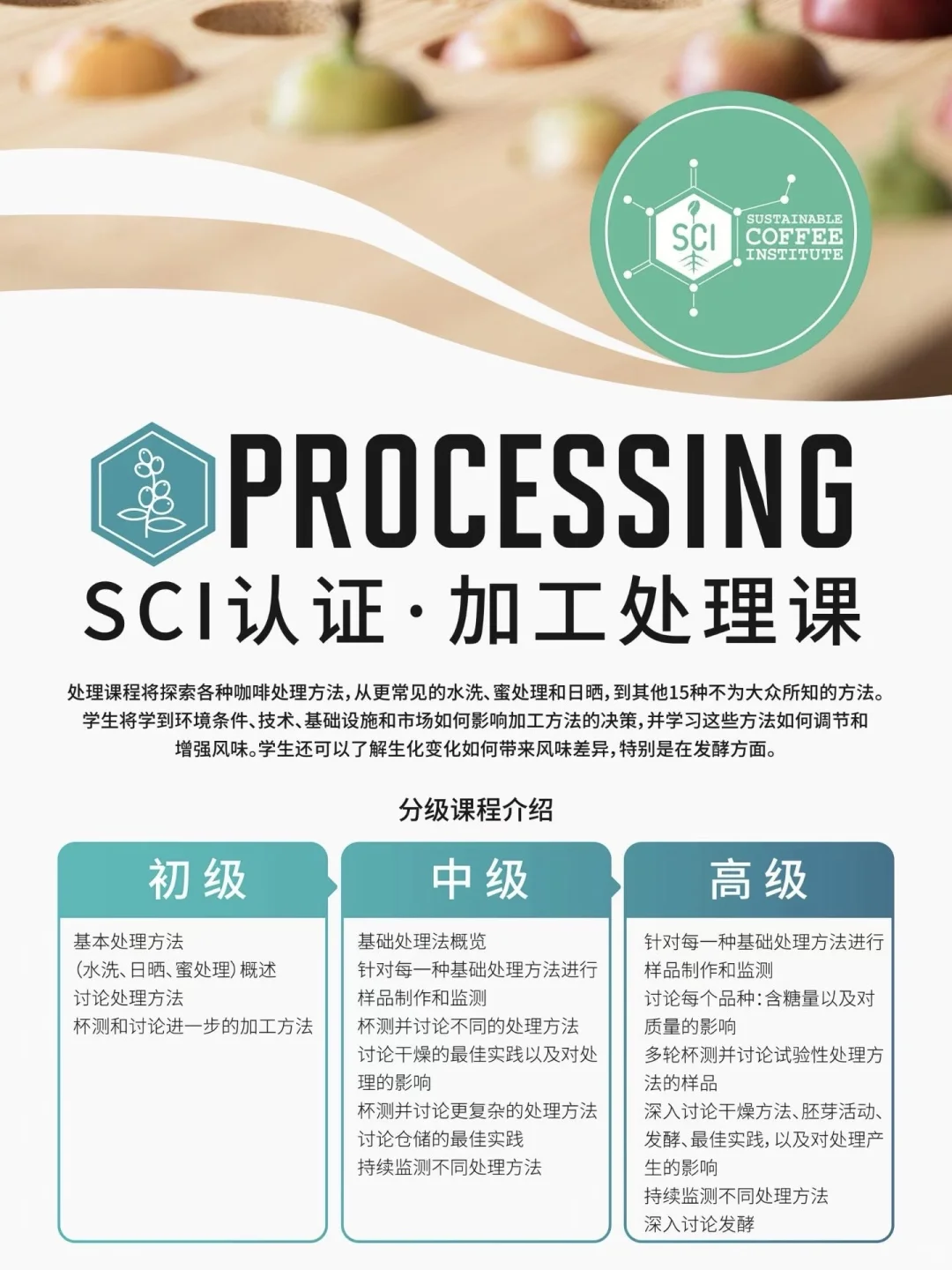 新产季来临?一年一度的咖啡加工处理课启动