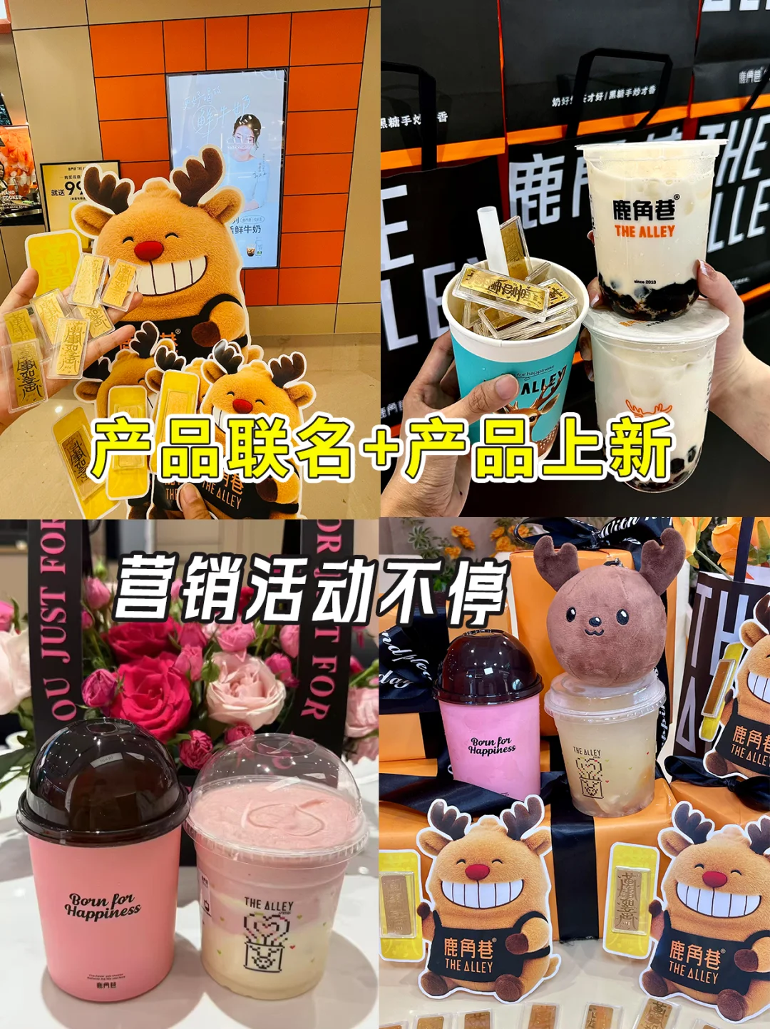 鹿角巷北方拓区！北京招商会省心开！等你来