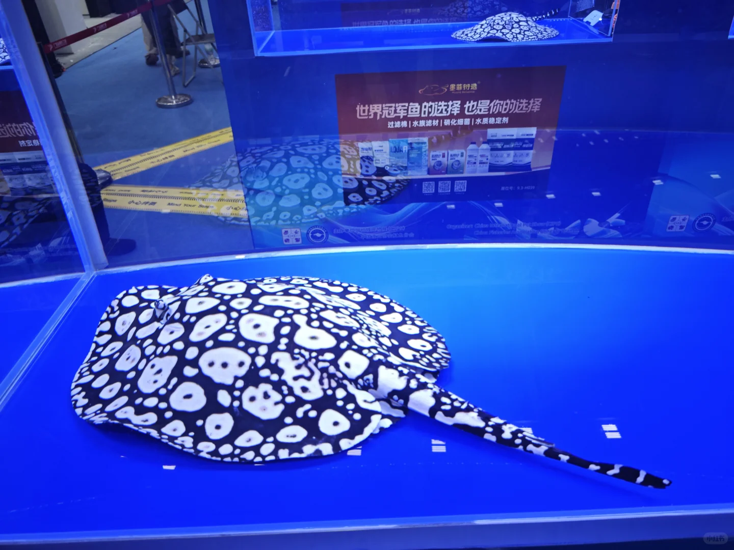 广交会CIPS长城宠物展