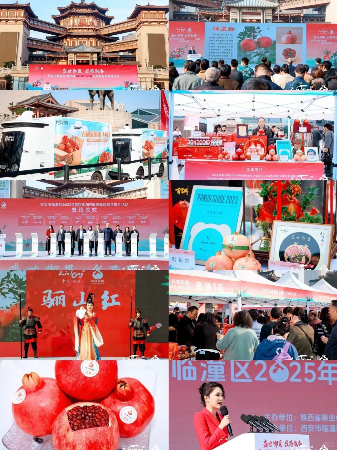 西安活动拍摄丨石榴推介会