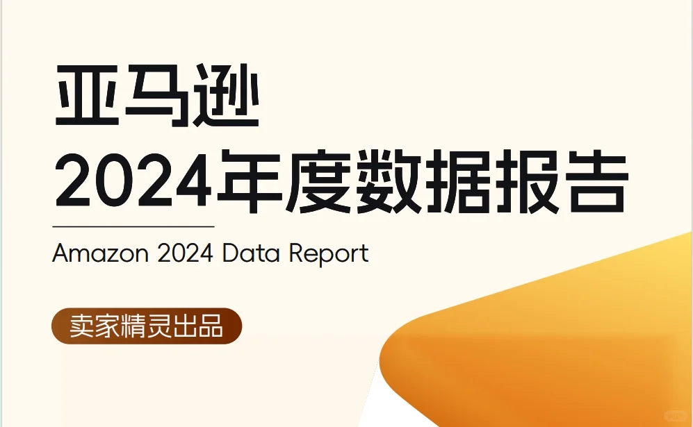 亚马逊2024年度数据报告