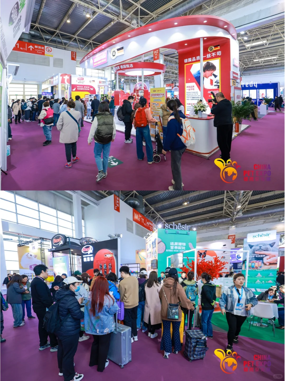 宠物行业品牌商看过来!速约展位?