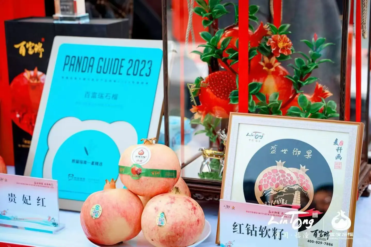 西安活动拍摄丨石榴推介会