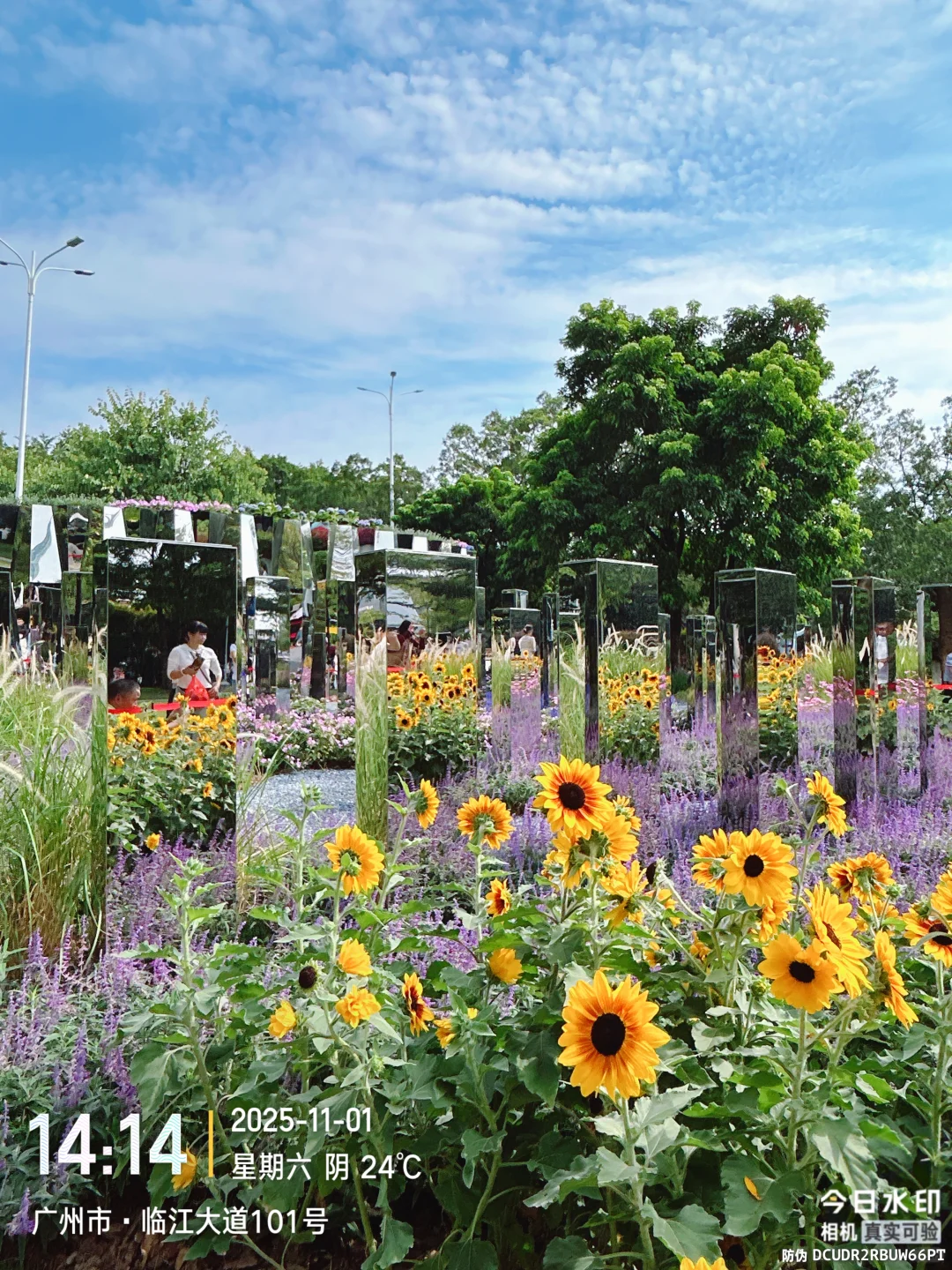 错过等一年第32届广州园博会秋季场美到窒息