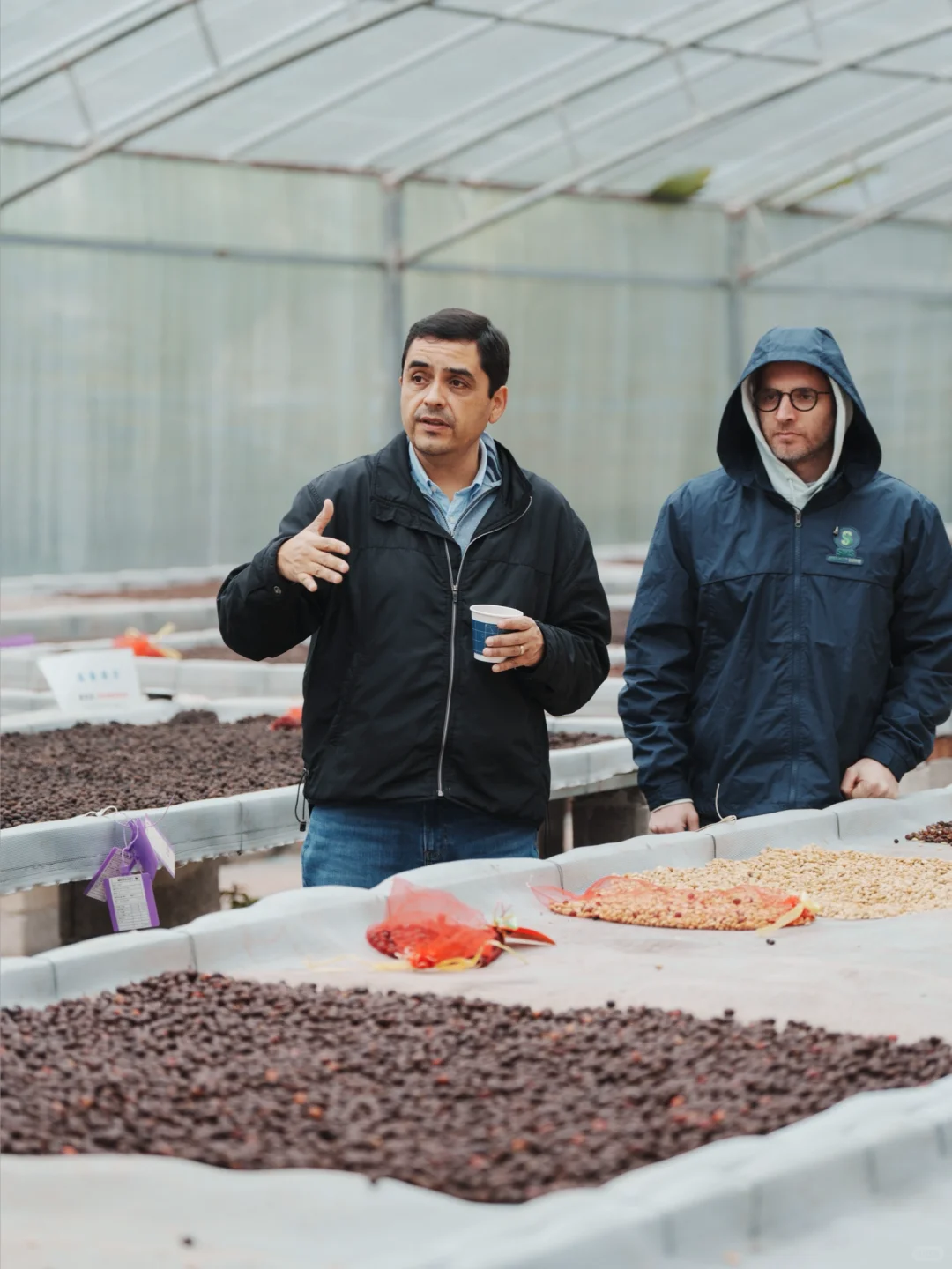 新产季来临?一年一度的咖啡加工处理课启动