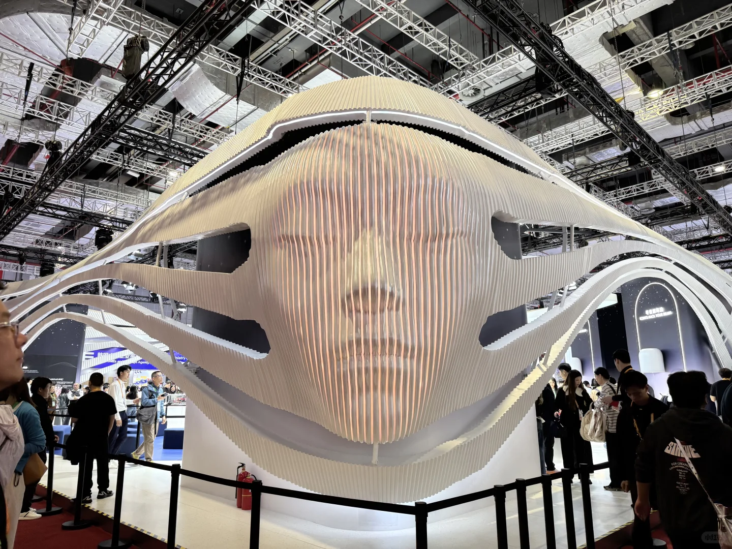 ?2025进博会一日游 | 免费吃喝+科技狂欢?