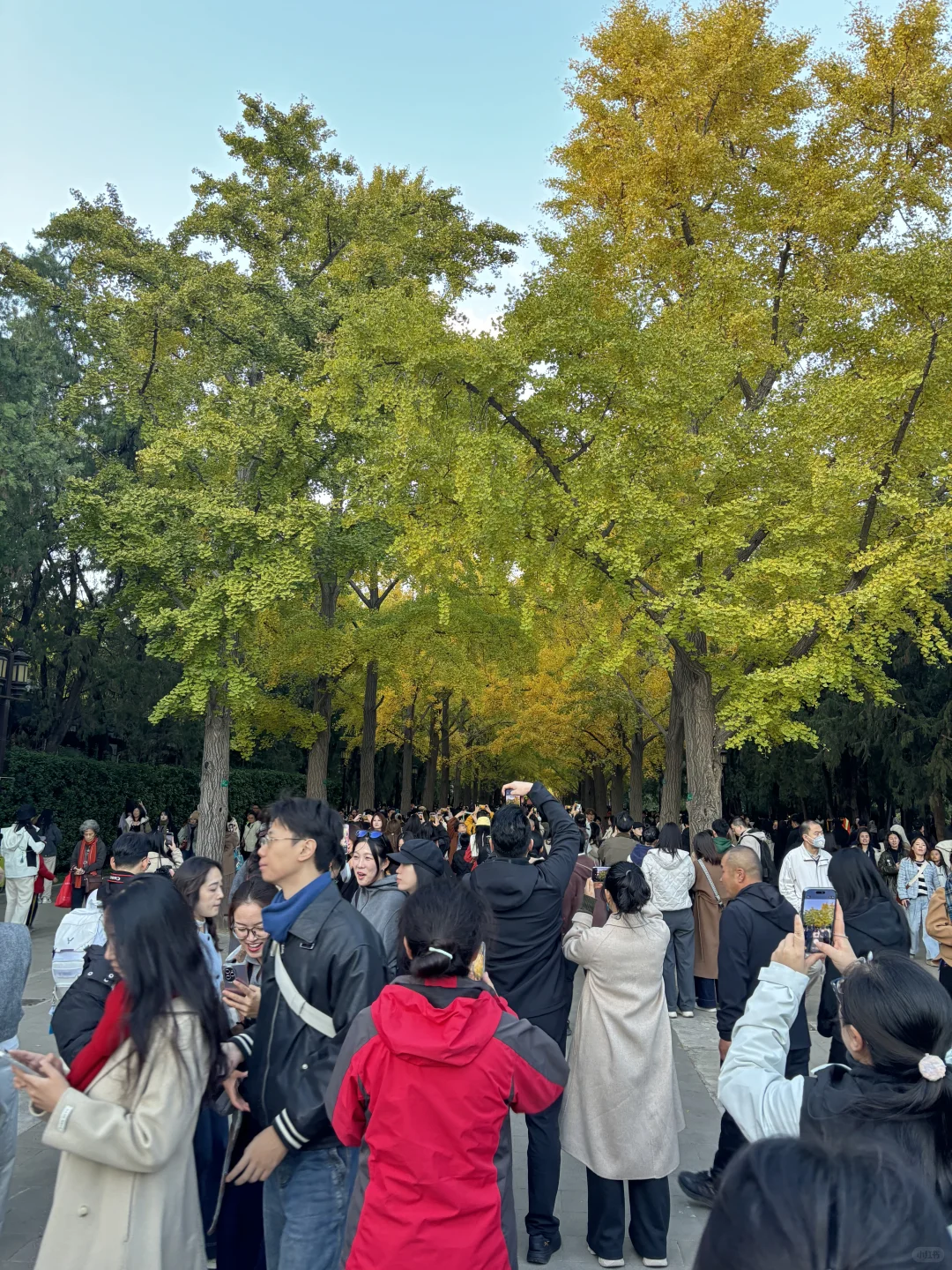 避雷地坛公园，还以为进了食品展销会现场?