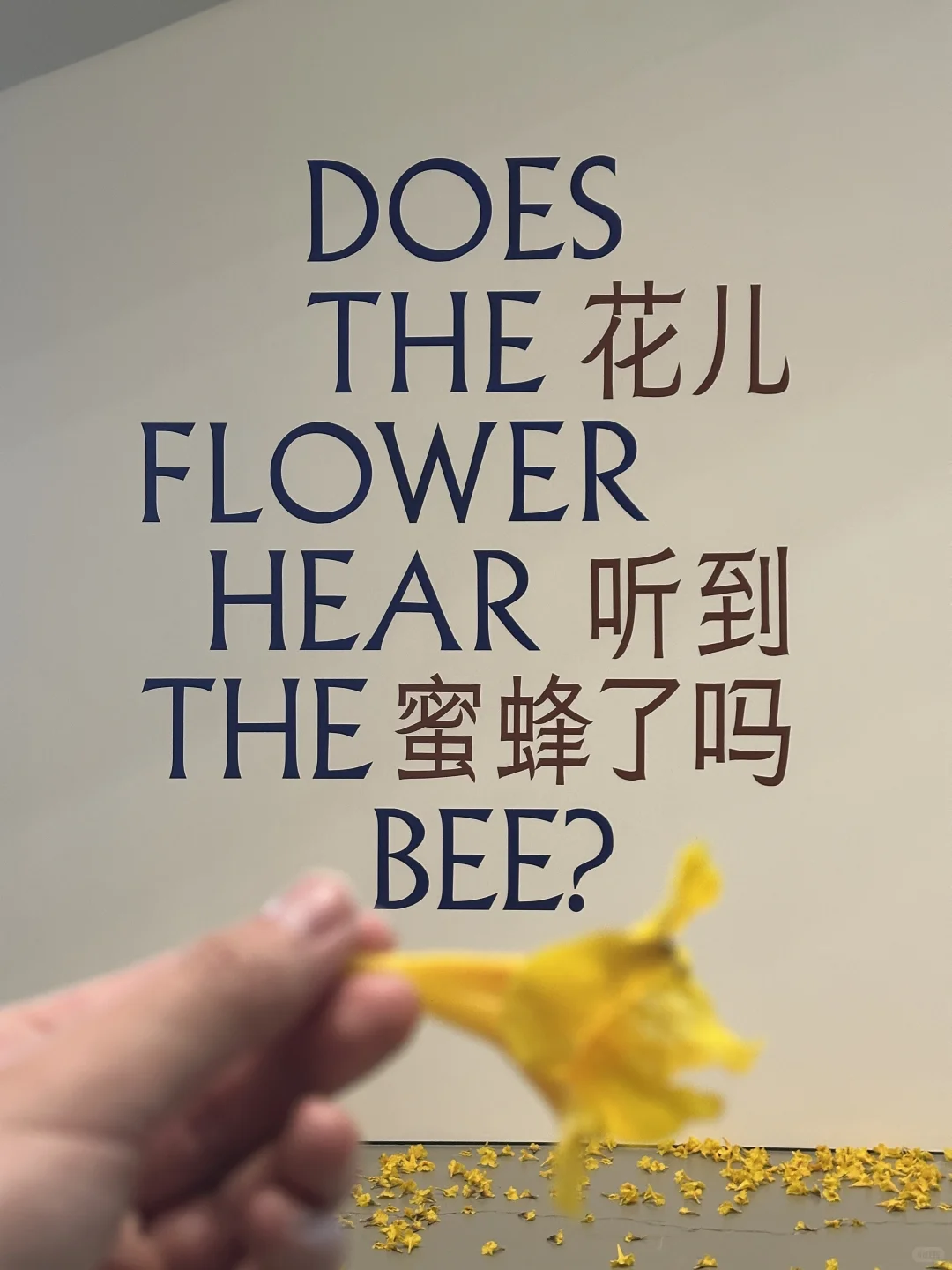 上海双年展抢先? 大装置太治愈了❗️