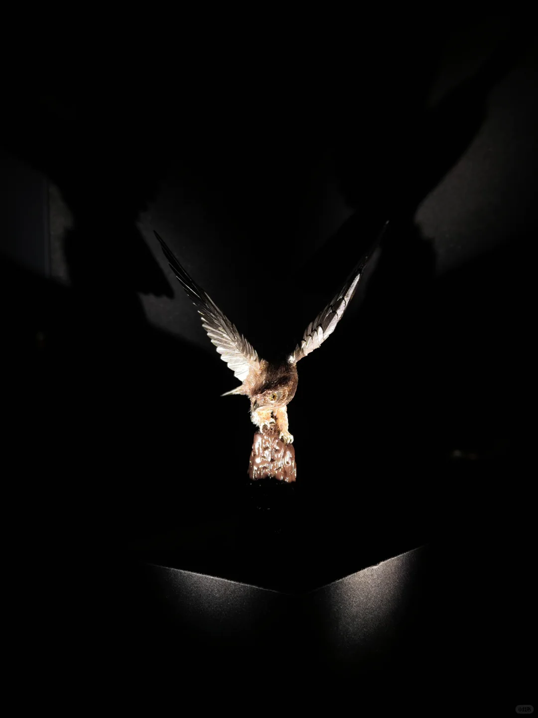 我在深圳找珠宝大赛教练??学金属起版