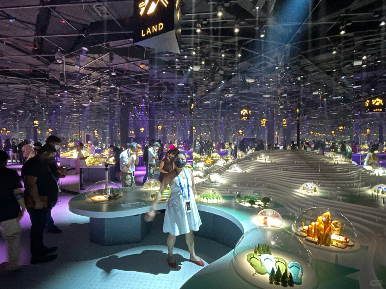 总监带你看世博会——2020 迪拜