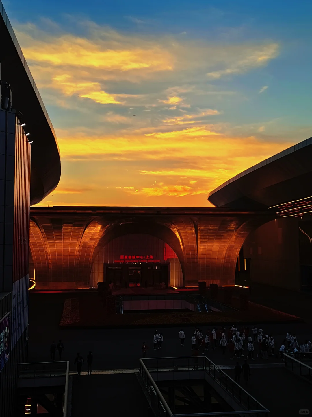 CIIE进博会8.0|我的心跳飚到180❓❗?