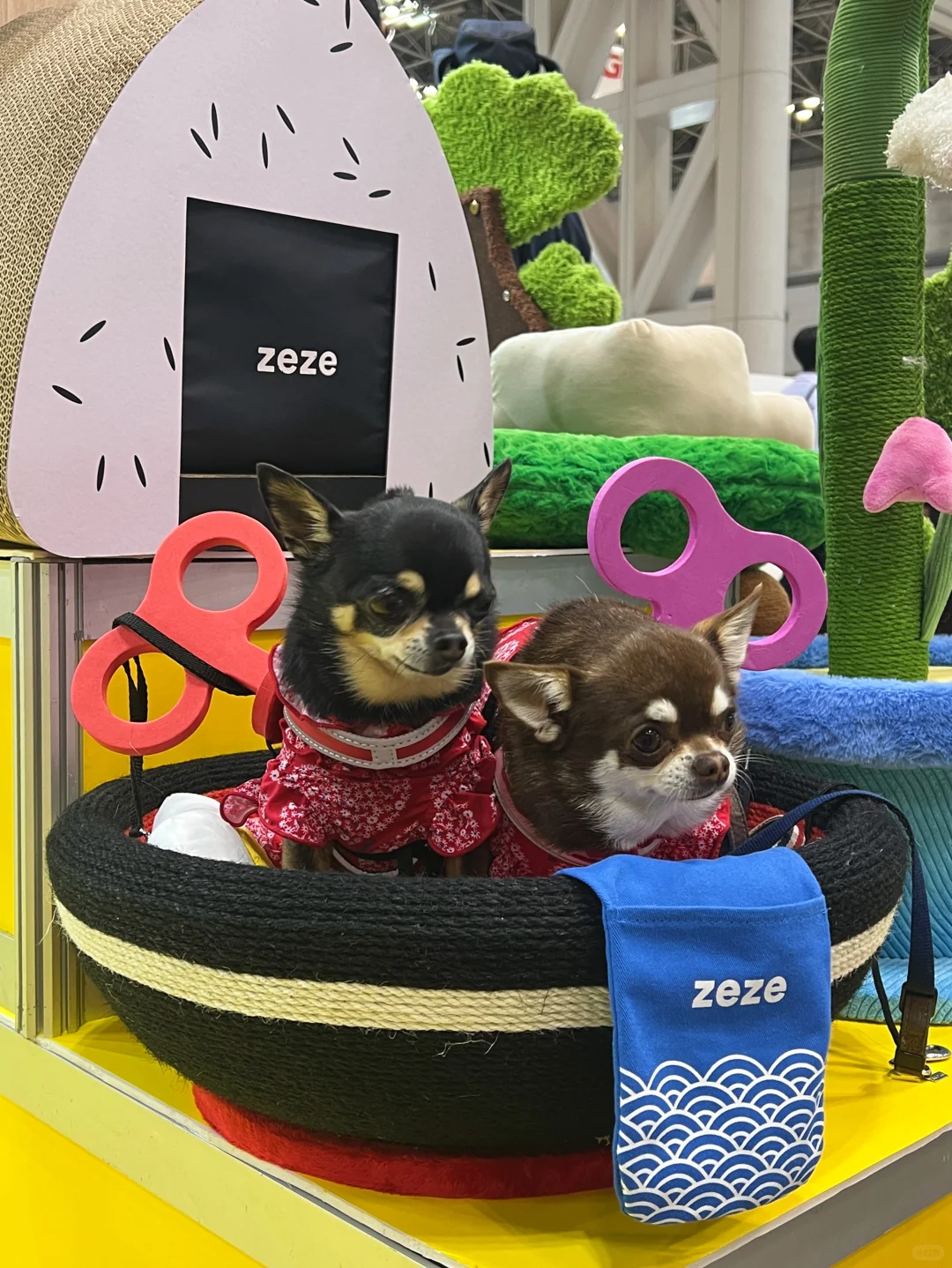 来「东京国际宠物展」和 zeze碰面吧??