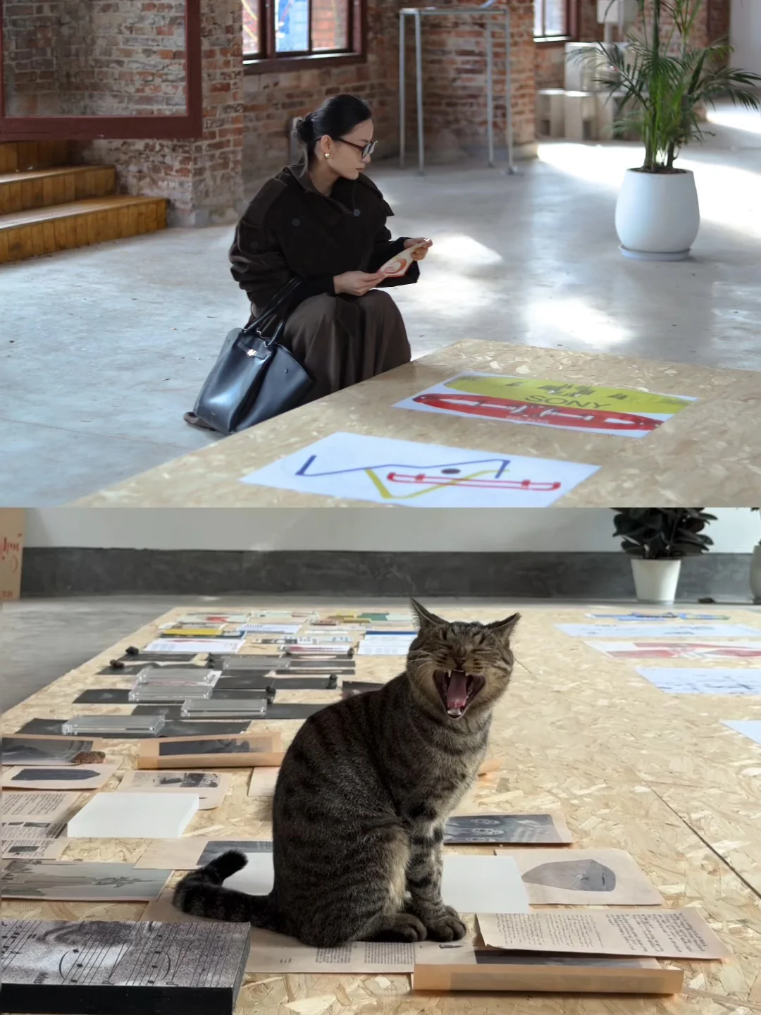 长沙新展 ▪️233艺术社区 ? 「生长的语法」