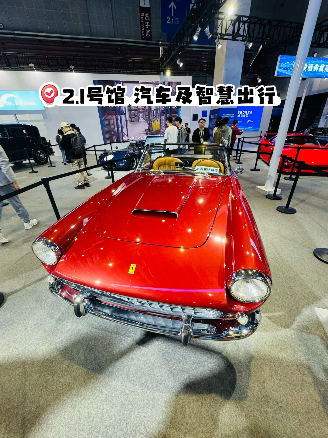 2025进博会暴走攻略?四叶草一日游