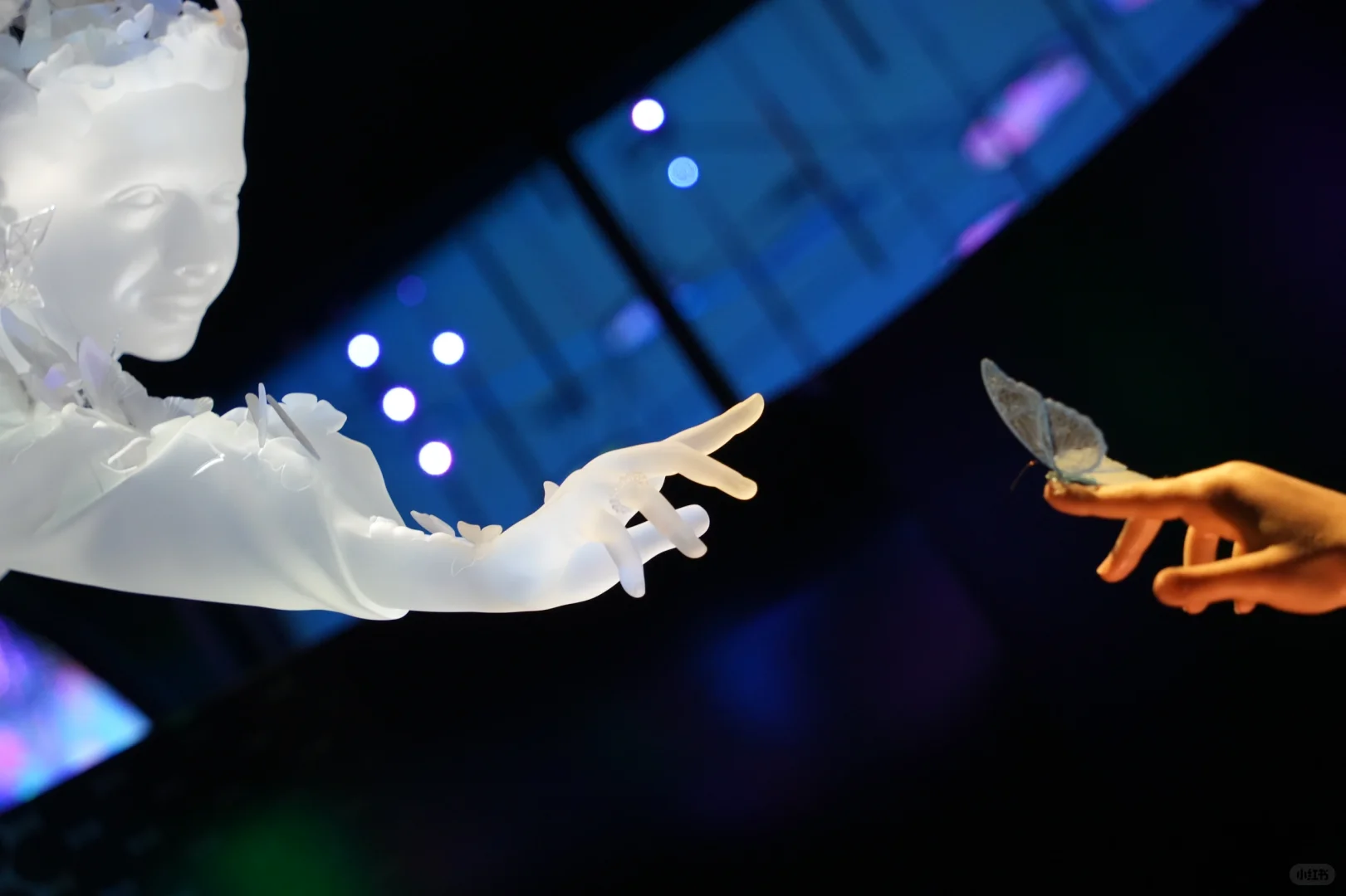 看展笔记｜迪拜世博会中的装置艺术