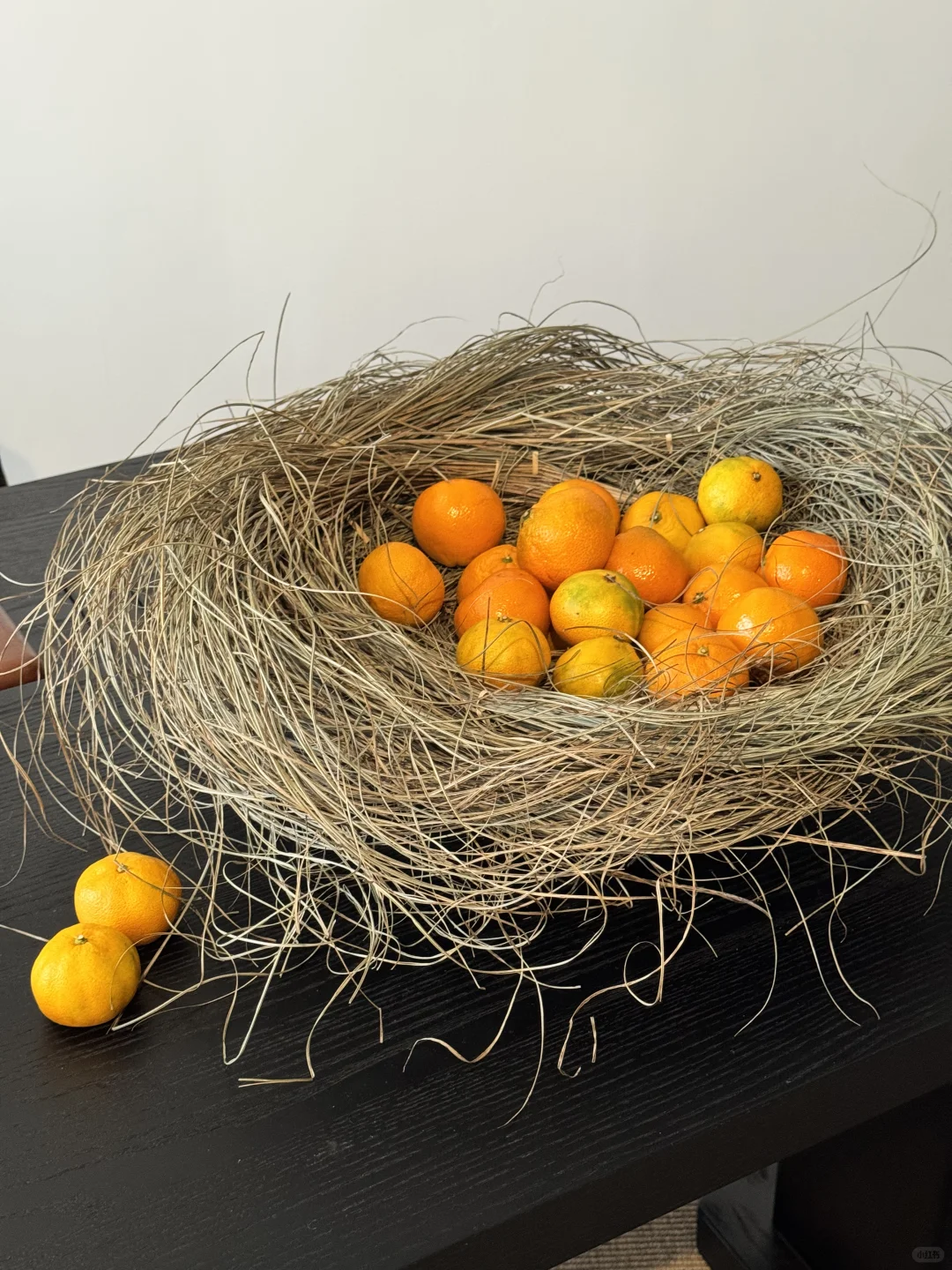 上海外滩这个展也太美了吧?