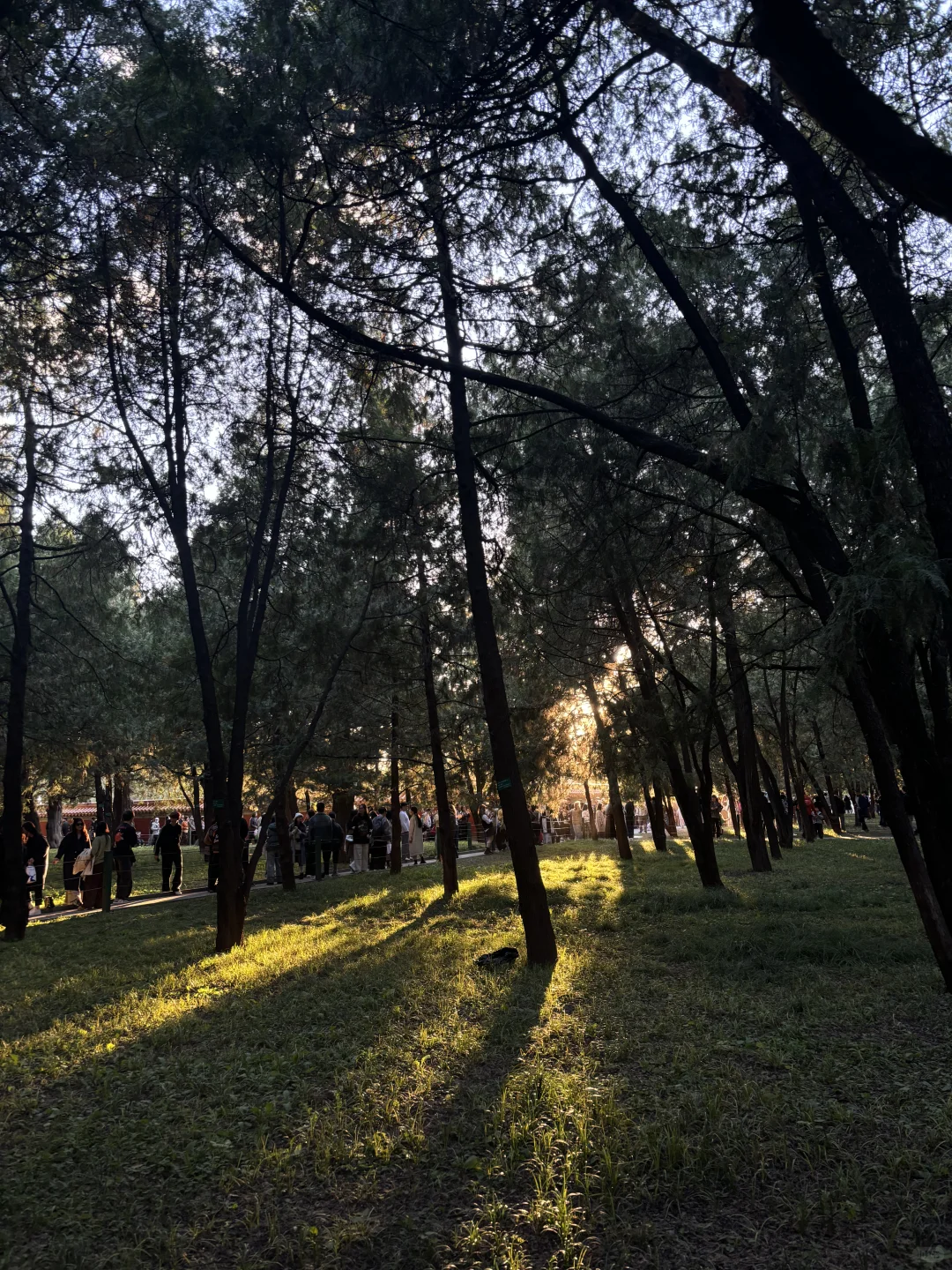 避雷地坛公园，还以为进了食品展销会现场?
