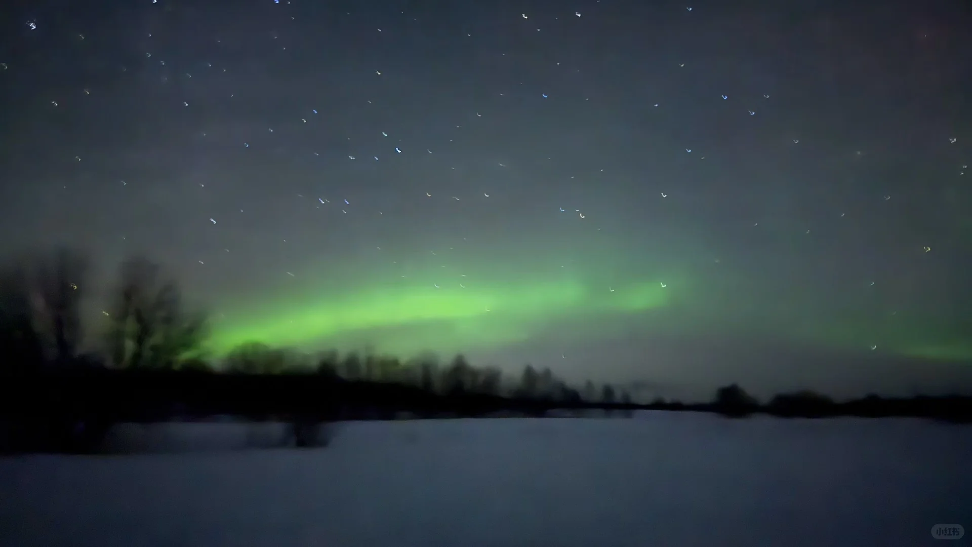 莫斯科展会翻译｜化工展 2025.11