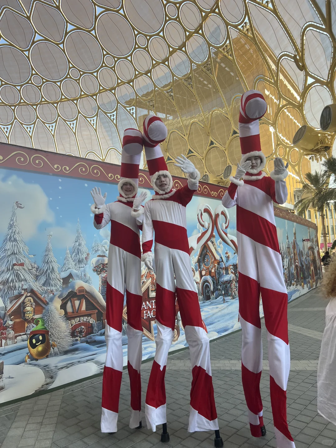 迪拜世博的“冬日城”